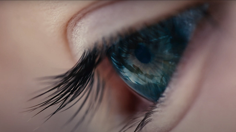 close up of an eye from Voyage of Time