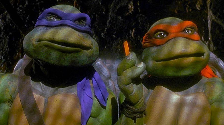 Donatello and Michelangelo in Teenage Mutant Ninja Turtles