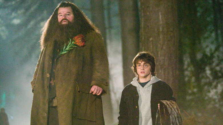Robbie Coltrane and Daniel Radcliffe in Harry Potter and the Goblet of Fire