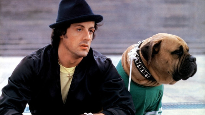 Rocky Balboa with his dog in Rocky II