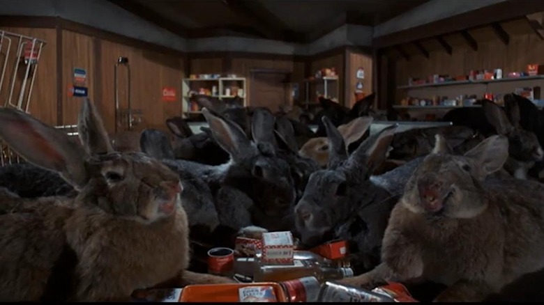 Giant rabbits in Night of the Lepus