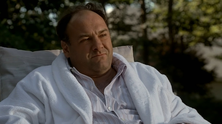 James Gandolfini in the final season of The Sopranos