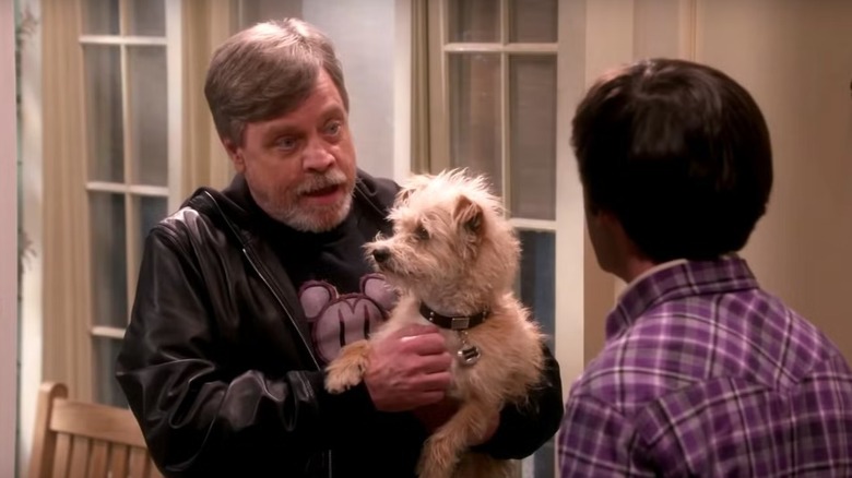 Mark Hamill holding Bark Hamill in front of Howard on The Big Bang Theory