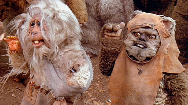 Ewoks: La batalla por Endor, Tek y Wicket