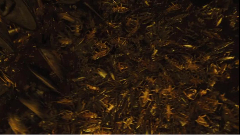 Cockroaches, Snowpiercer