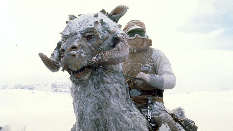 Luke atop a tauntaun in Star Wars: The Empire Strikes Back