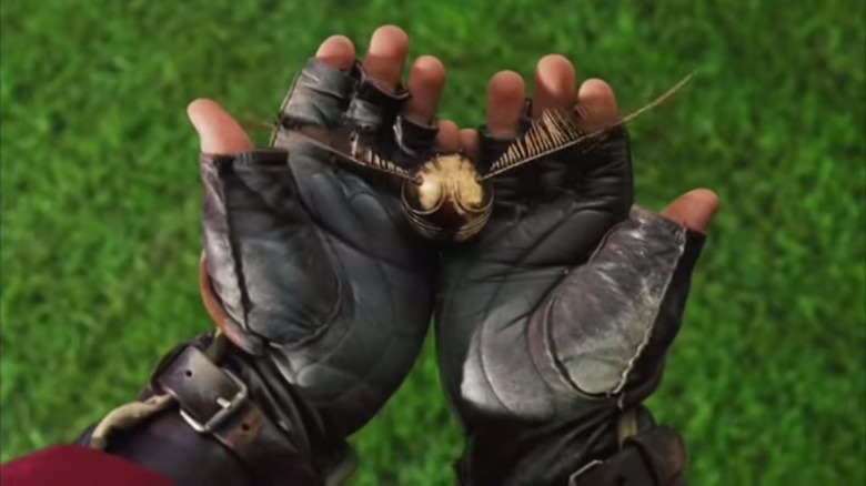 Harry Potter and the Sorcerer's Stone, the Snitch