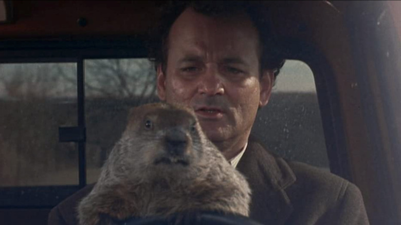 Bill Murray drives with groundhog