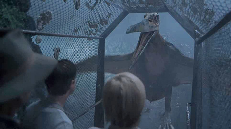 A Pterodactyl in Jurassic Park 3