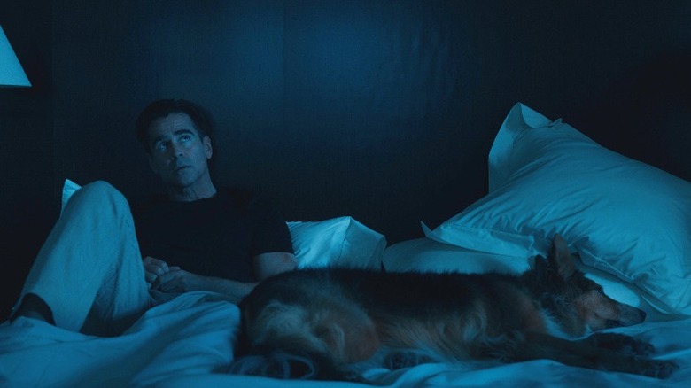 Colin Farrell e cachorro em Sugar