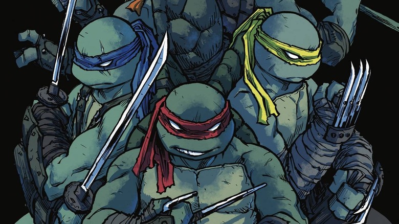 Ninja Turtles 101 comic cover art 