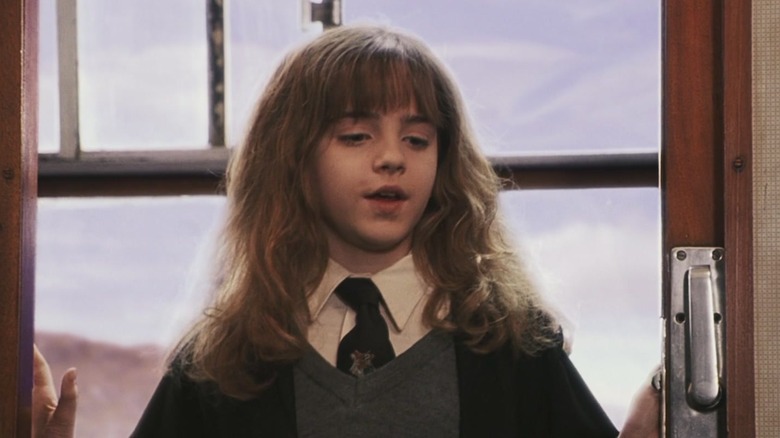 Sorcerer's Stone Hermione train