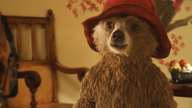 Paddington wears hat in house