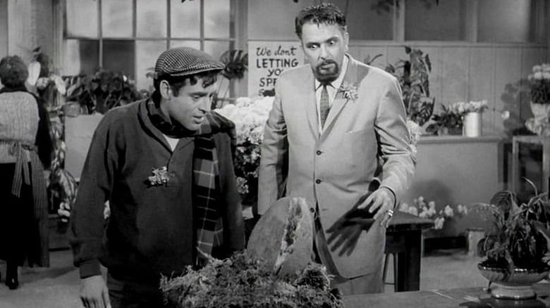 Seymour looks at the little plant in The Little Shop of Horrors