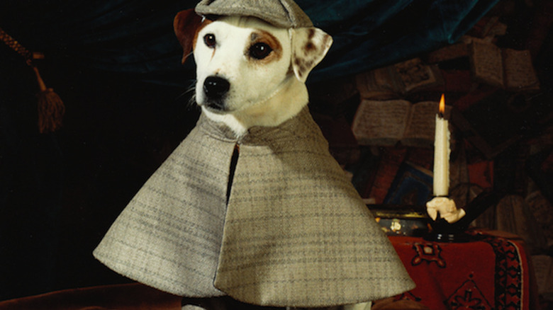 Soccer, Wishbone