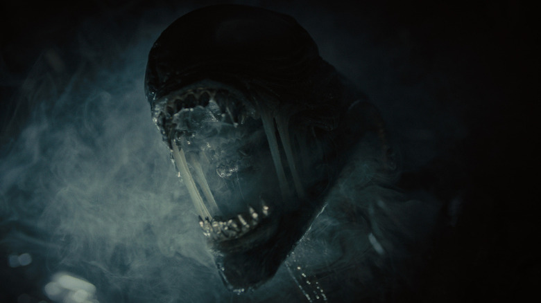 A xenomorph opening its mouth in Alien: Romulus