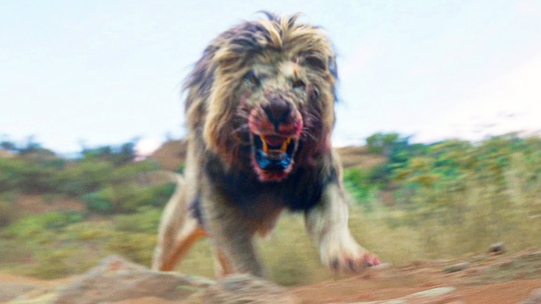 Killer lion snarling in Beast