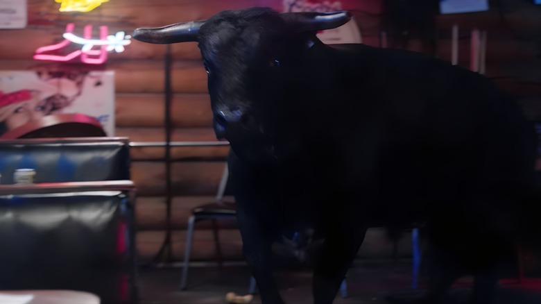 A bull entering a bar on "Yellowstone"