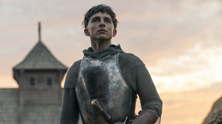 Timothee Chalamet in Armor