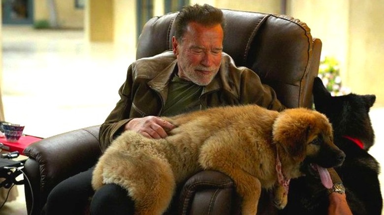 Arnold Schwarzenegger smiling with his dogs