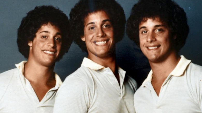 Edward Galland, David Kellman, and Robert Shafran in "Three Identical Strangers"