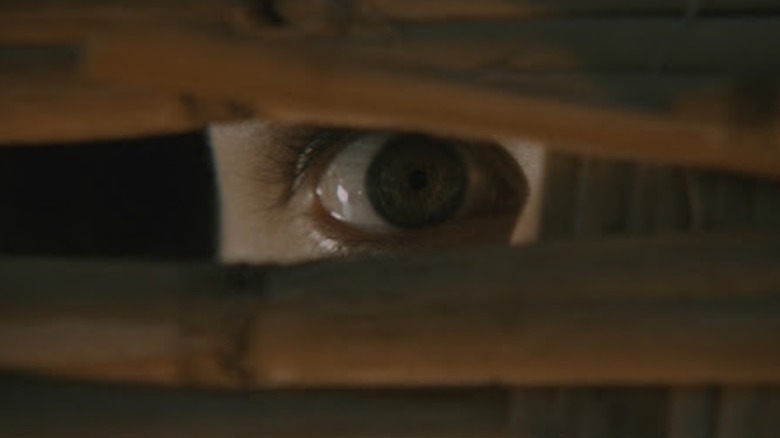 Eye peeks through slats in A Bay of Blood