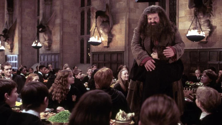 Harry hugs Hagrid