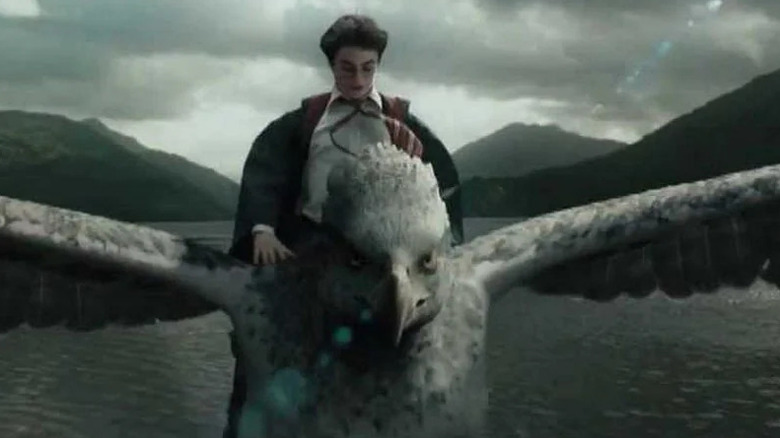 Harry riding on Buckbeak