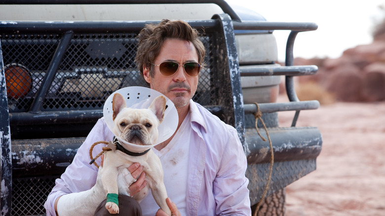 Robert Downey Jr. with dog