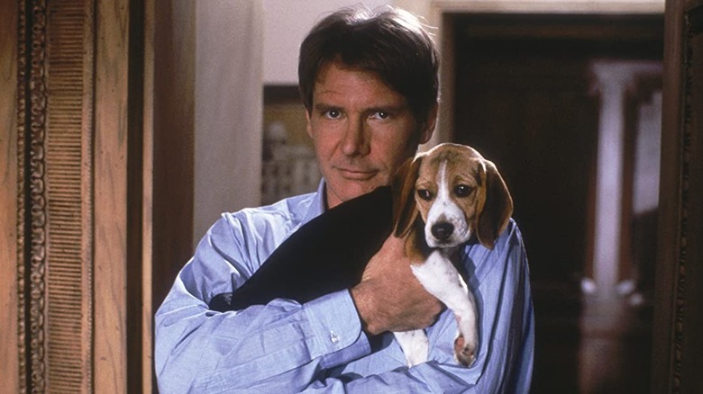 Harrison Ford holding dog