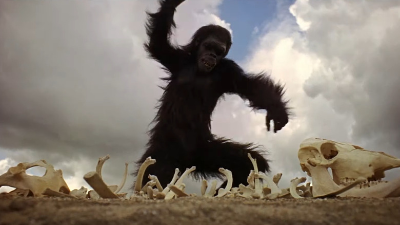 2001: A Space Odyssey ape smashing bones 