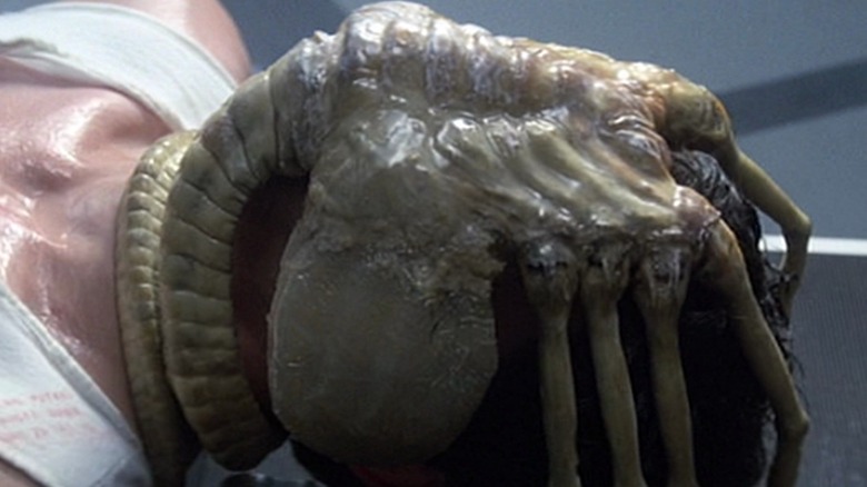 Alien facehugger covers face