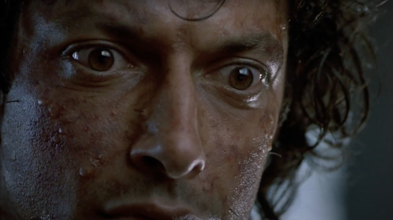 The Fly Cronenberg Jeff Goldblum