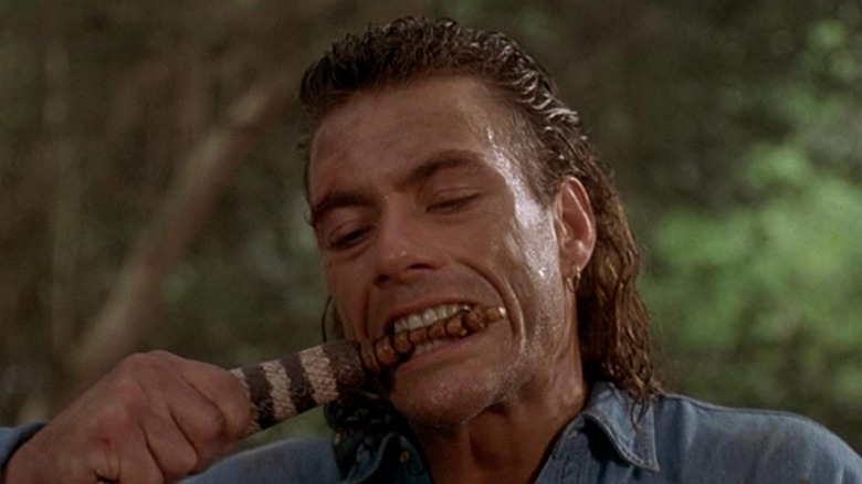 Jean-Claude Van Damme bites a rattle snake tail