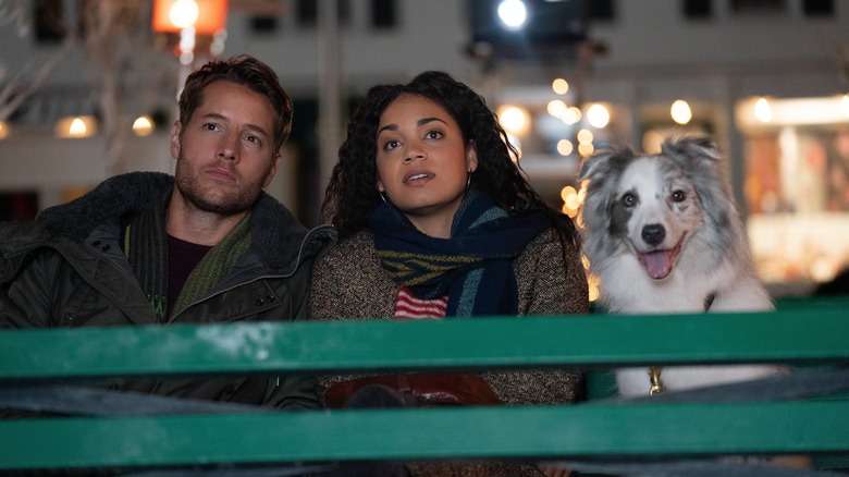 Jake and Rachel with dog looking up