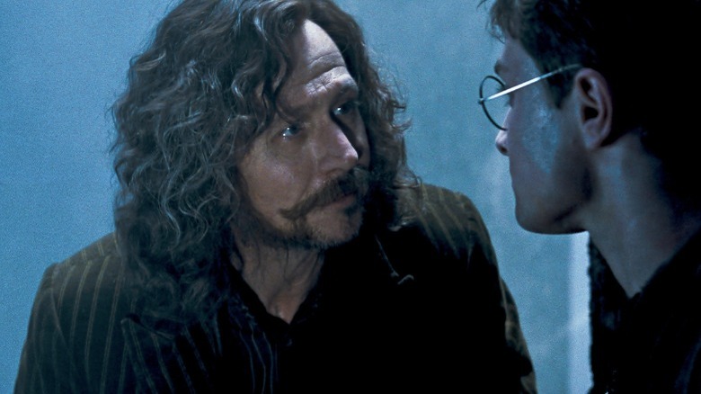 Harry Potter Sirius comforts Harry