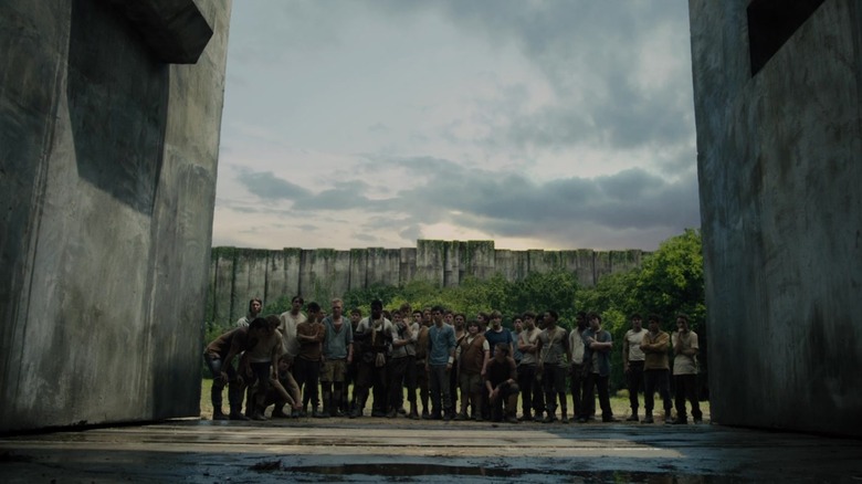 The maze opens to potential runners, in "The Maze Runner"