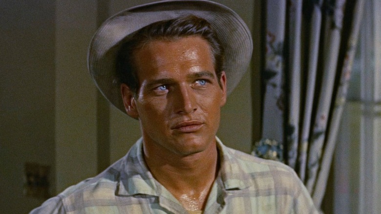 Paul Newman blue eyes The Long Hot Summer