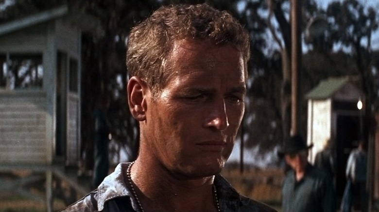 Paul Newman as Luke looking down in Cool Hand Luke