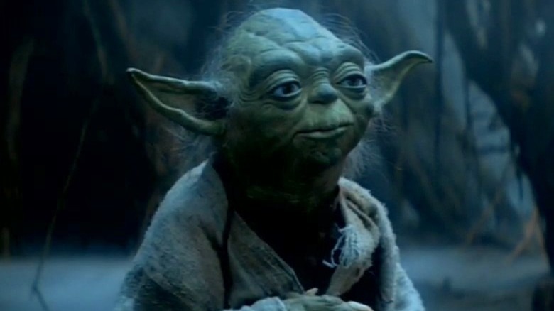 Master Yoda in teaches Luke