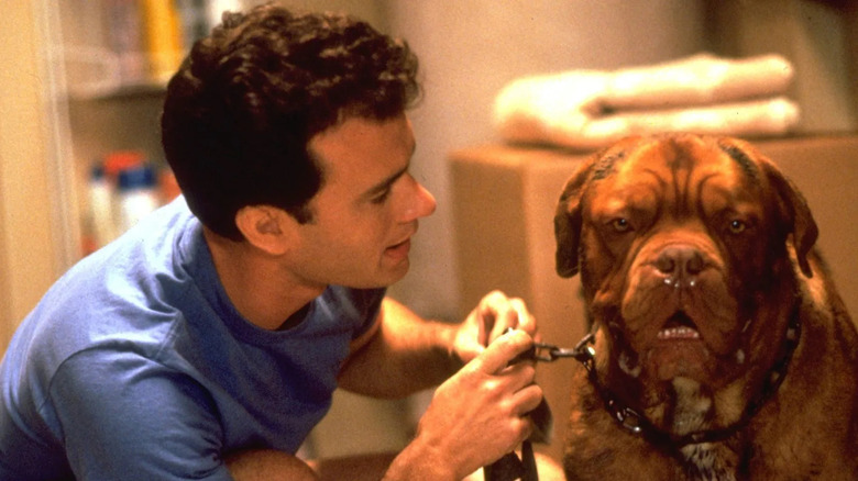 Tom Hanks and dog