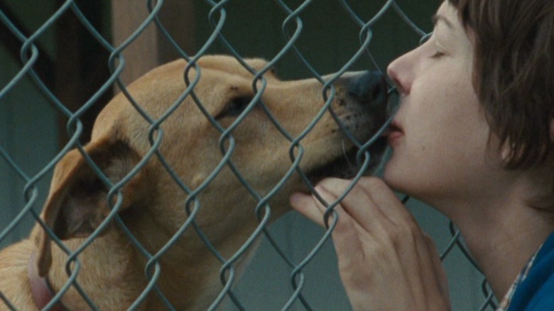 Michelle Williams as Wendy Carroll kissing Lucy the dog through a mesh fence in Wendy and Lucy