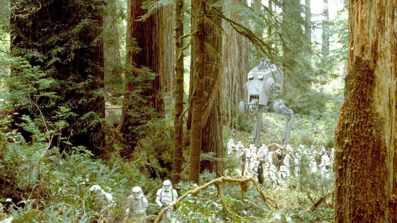 Stormtroopers scour Endor