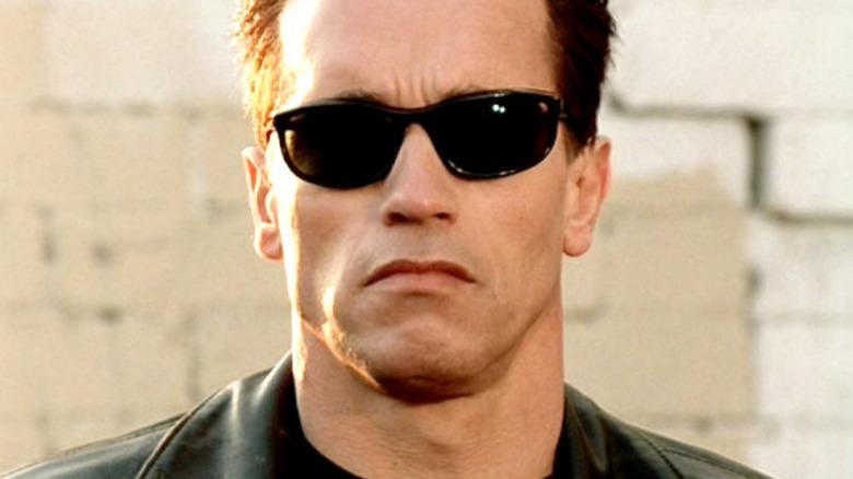 Arnold Schwarzenegger as The Terminator