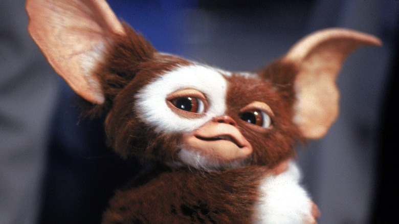 Gizmo stares cheekily off to the side in Gremlins.