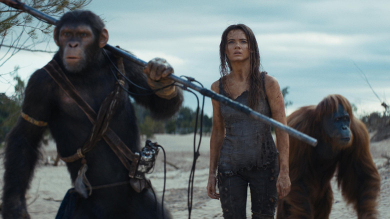 Noa, Nova, and Raka walking on the beach in Kingdom of the Planet of the Apes