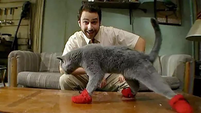Charlie Day and cat in It's Always Sunny in Philadelphia
