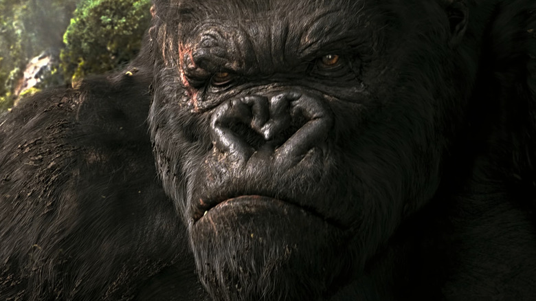 Andy Serkis as King Kong growls at the camera.