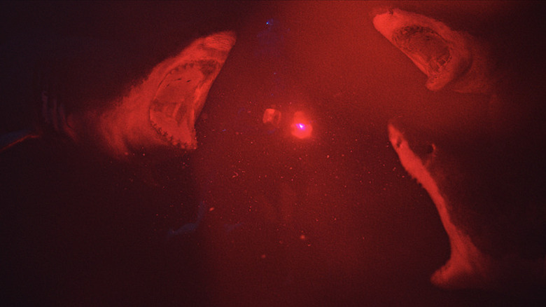 47 Meters Down red flare