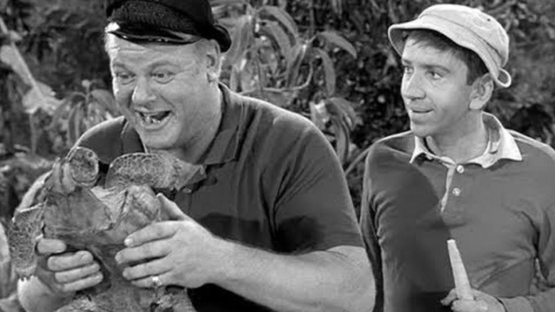 Alan Hale Jr.'s Skipper and Bob Denver's Gilligan looking at a turtle on Gilligan's Island